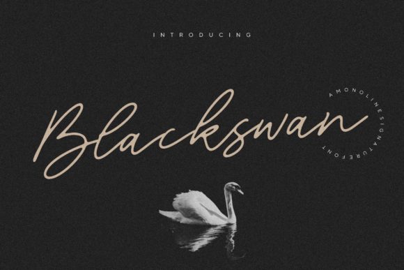 Blackswan: A Premium Handwritten Font for Modern Web Design