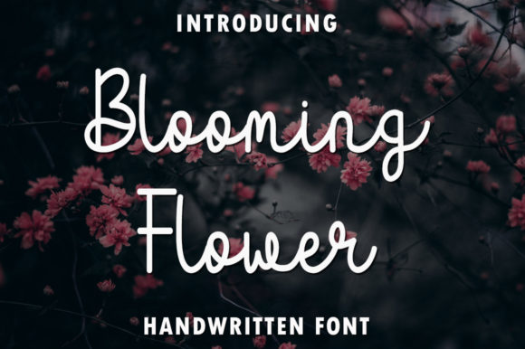 Blooming Flower Font: A Designer’s Journey Through a Real Branding Project