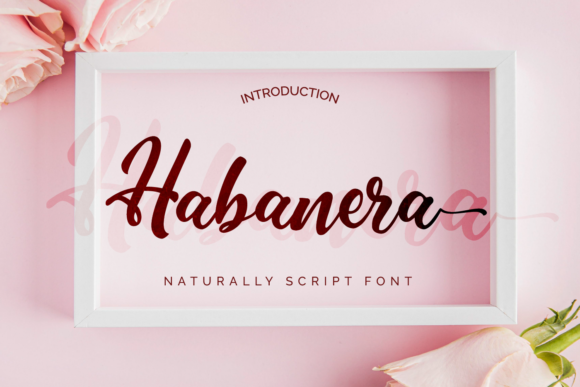 Habanera: A Handwritten Font for Your Brand