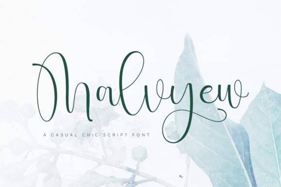 Malvyew: A Designer's Honest Review for Real Projects