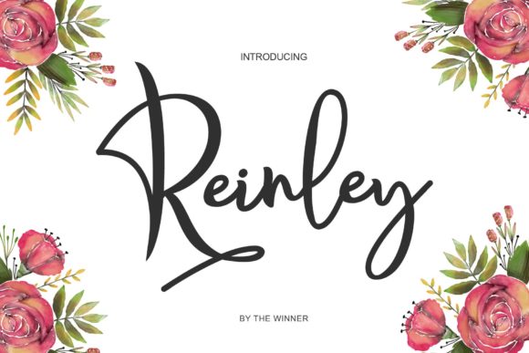 Reinley: A Delicate Script Font for Makers