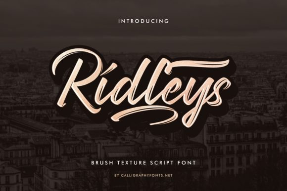 Ridleys: A Spectacular Brush Script Font for Branding