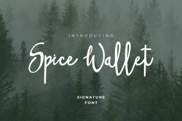 Spice Wallet: A Handwritten Font for Campaigns